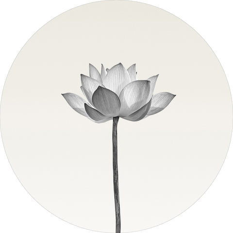 Lotus | CIRCLE ART