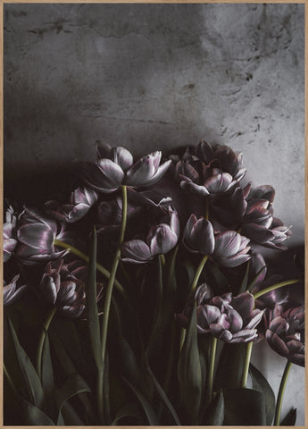 Dark tulips | POSTER BOARD