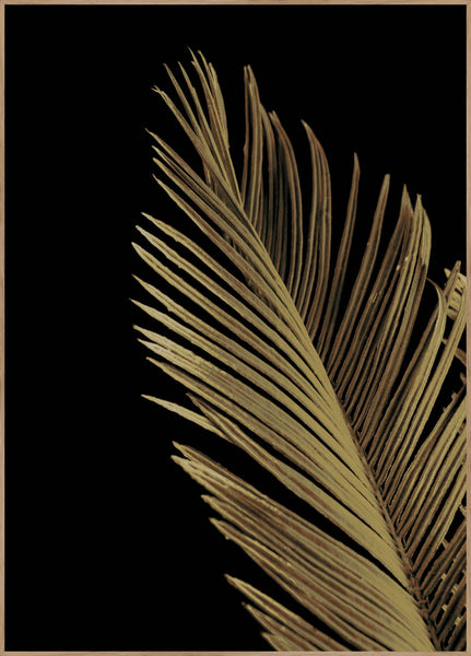 Golden palm 1 | POSTER BOARD