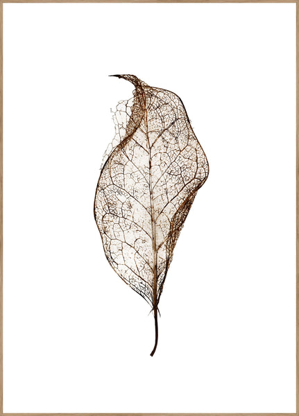 Leaf | POSTER BOARD