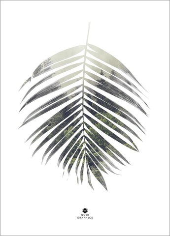 Palm Leaf | POSTER