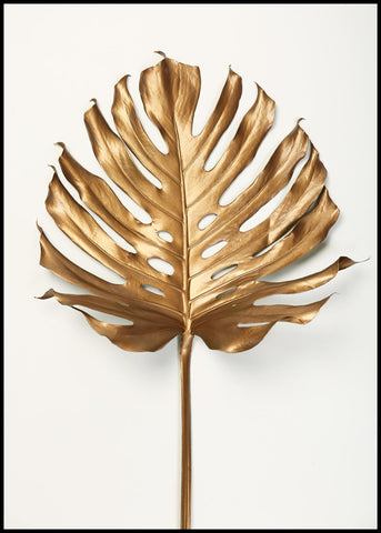Monstrea Gold Leaf | POSTER BOARD