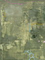 Green Petite | DESIGN PAINTING