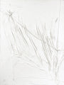 WHITE STRING | UNIKA PAINTING