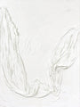 WHITE WASH | UNIKA PAINTING