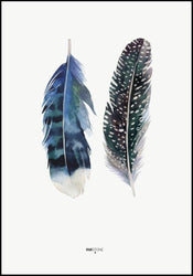 Indian Feather | POSTER BOARD