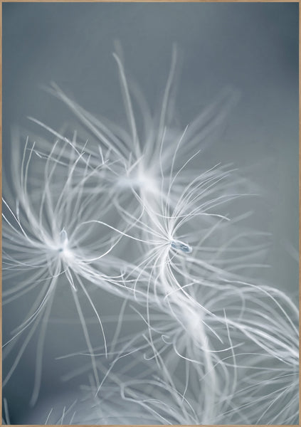 Dream Weaver Blue | Plakatbræt