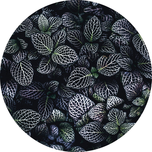 Mondblumen | CIRCLE ART