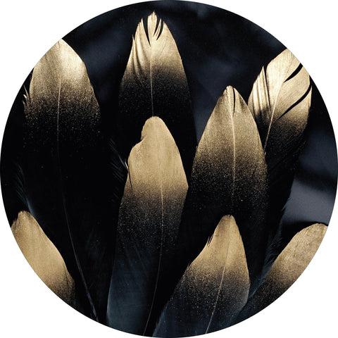 Golden feather | CIRCLE ART