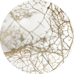 Blattskelett | CIRCLE ART