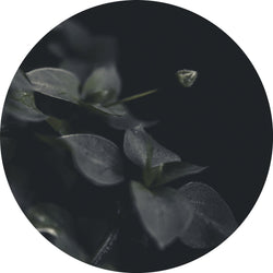 Geheimnis 9 | CIRCLE ART