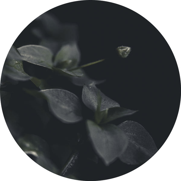 Geheimnis 9 | CIRCLE ART