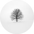 Solitary 1 | CIRCLE ART