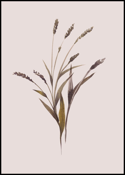 Wheat | POSTER BOARD