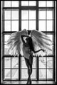 Angel dream 2 | POSTER BOARD