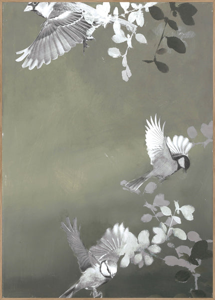 Bird4 | Plakatbrett