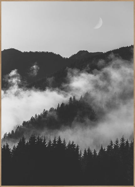 Bischof 19 | Plakatbrett