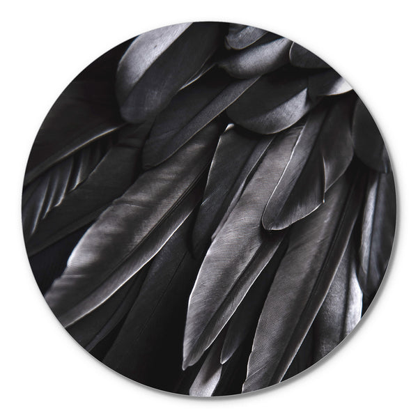Schwarzflügel | CIRCLE ART
