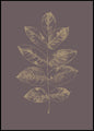 Botanica-2 | POSTER BOARD
