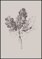 Botanica-3 | POSTER BOARD