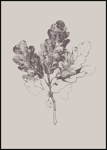 Botanica-3 | POSTER BOARD