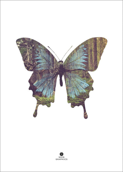 Butterfly | POSTER