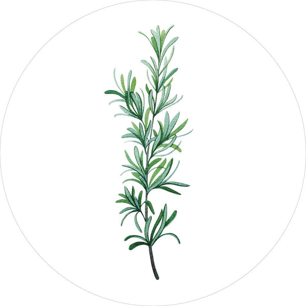 Green Plants 11 | CIRCLE ART