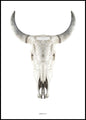 Cow skull | POSTER BOARD