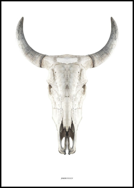 Cow skull | POSTER BOARD