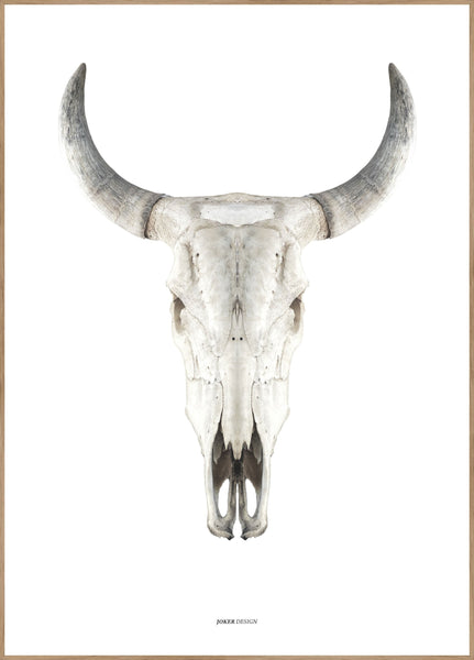 Cow skull | POSTER BOARD