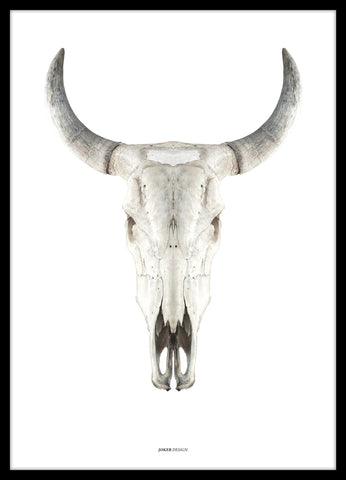 Cow skull | POSTER