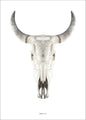 Cow Skull | POSTER