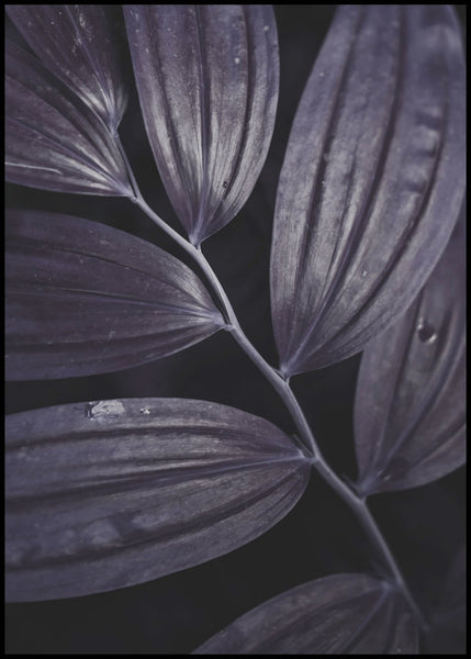 Dark plant 3 | POSTER BOARD