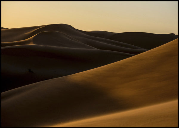 Desert 2 | POSTER BOARD