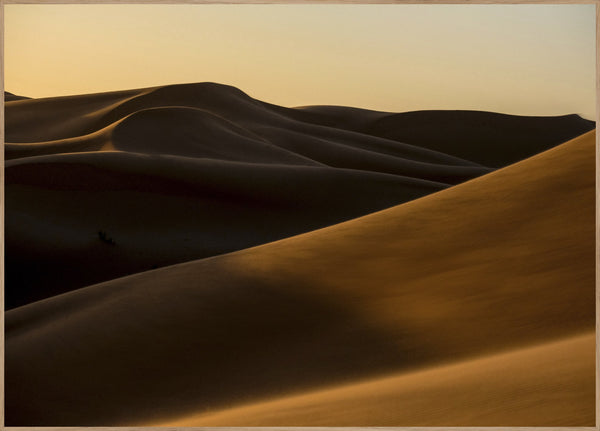 Desert 2 | POSTER BOARD