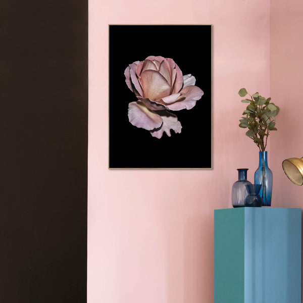 Pink Rose | Plakatbrett