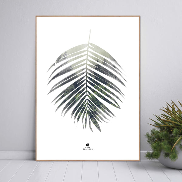 Palm leaf | POSTER BOARD