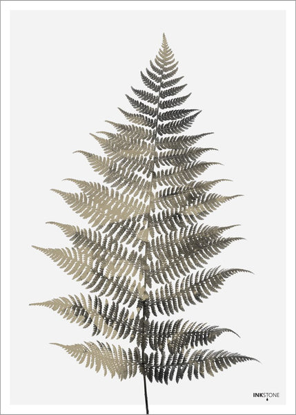 Fern One | POSTER
