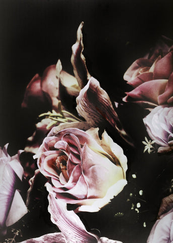 Flower Magic 3 | Poster