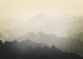 Foggy yellow | POSTER