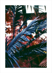 Funky Dschungel 2 | POSTER