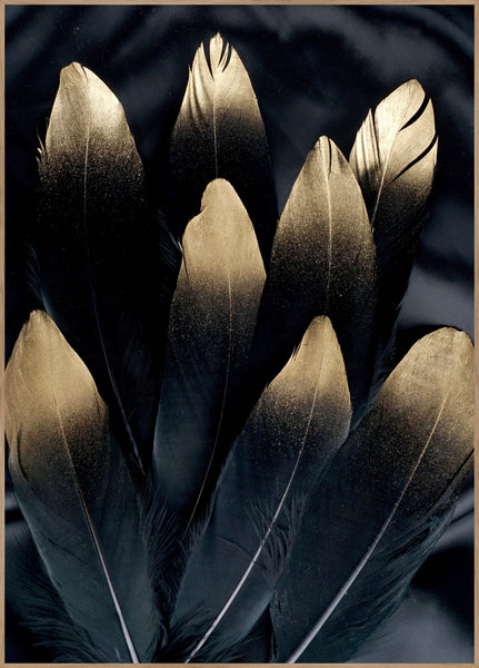 Golden Feather | Plakatbræt
