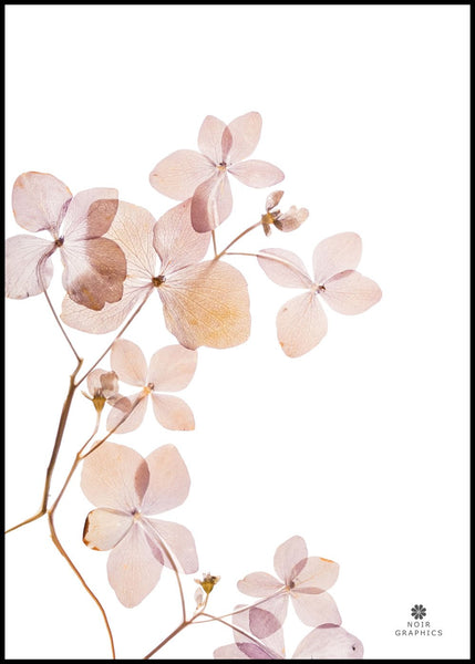 Grace 3 | Plakatbrett