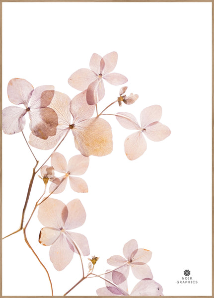 Grace 3 | Plakatbrett