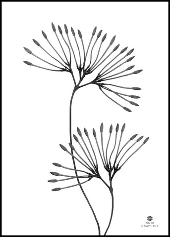 Grace | POSTER BOARD