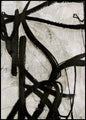 Graphical Lines 5 | POSTER BOARD
