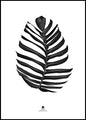 Jungle Leaf black | POSTER BOARD