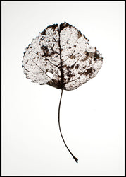 Blatt rustikal | Plakatbrett