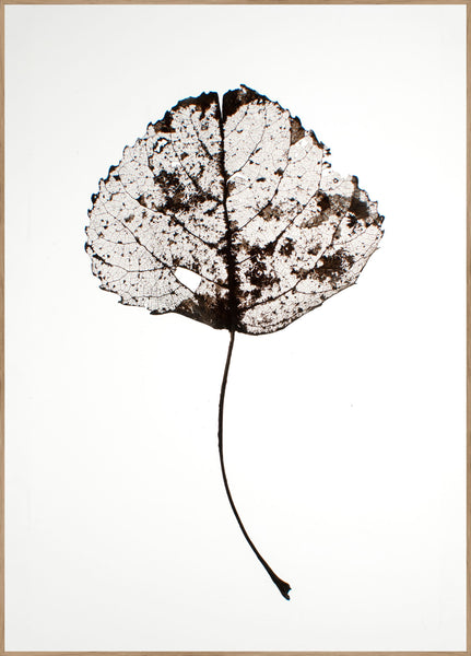 Blatt rustikal | Plakatbrett