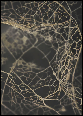 Leaf skeleton dark | POSTER BOARD